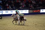 Quadrille - 00230